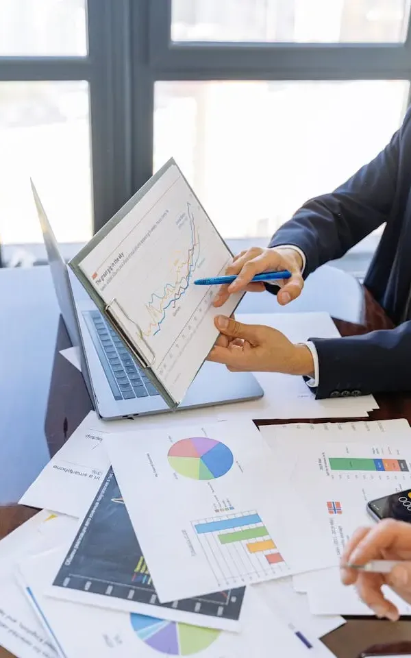 Organic SEO consultant image